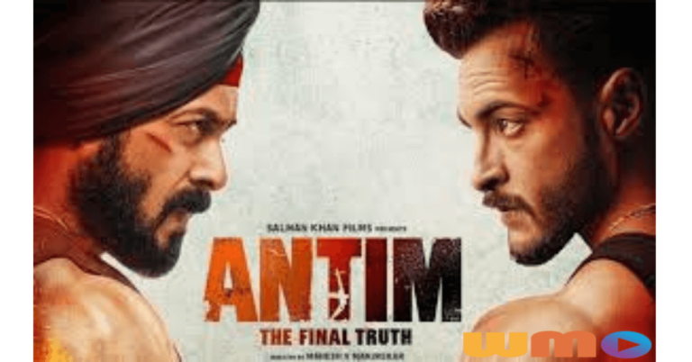 Antim: The Final Truth 2021 Movie Review
